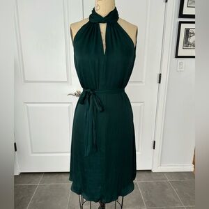 Banana Republic Emerald Belted Dress